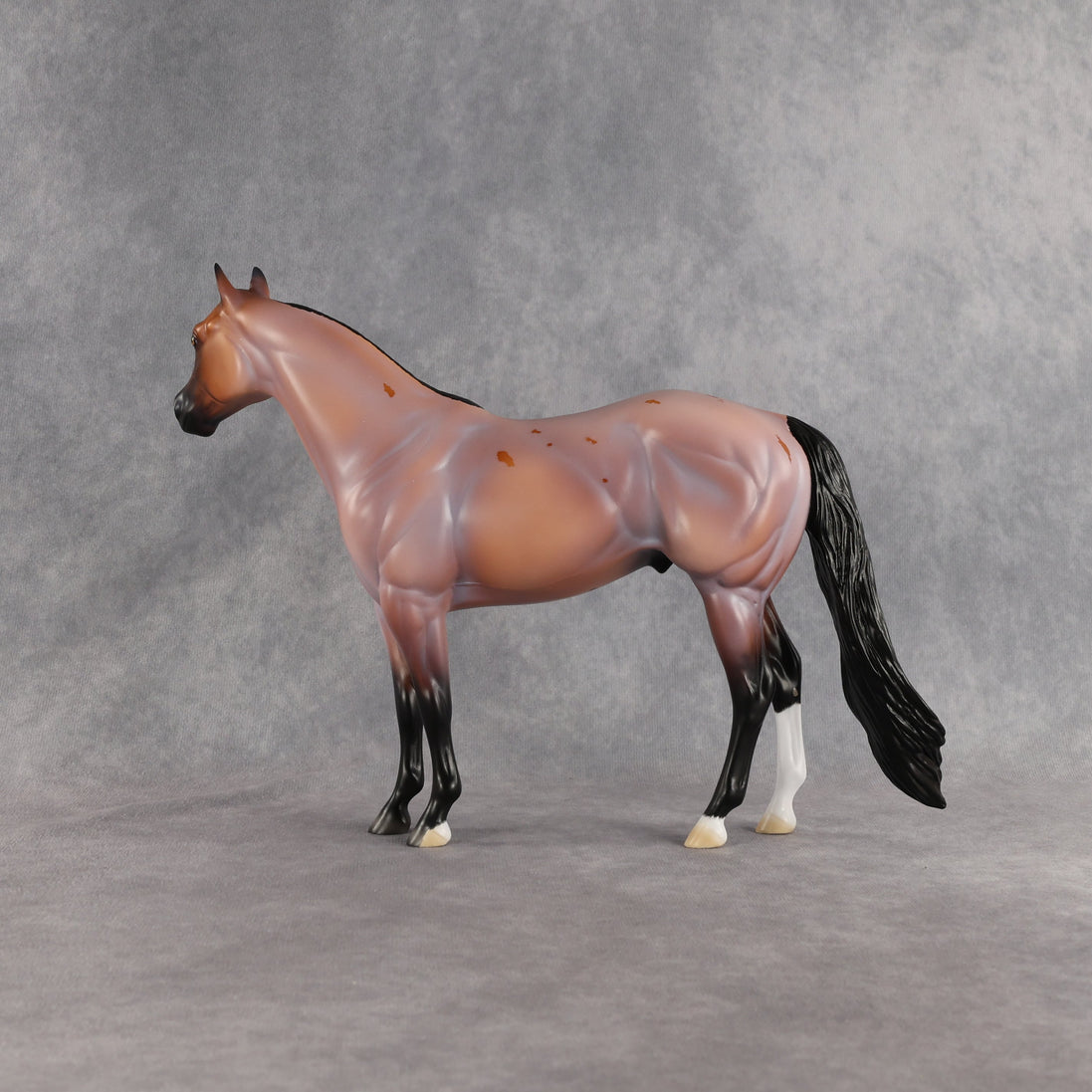 Surfer Dude OOAK Ideal Stock Horse by Madi Wiseman EQ26