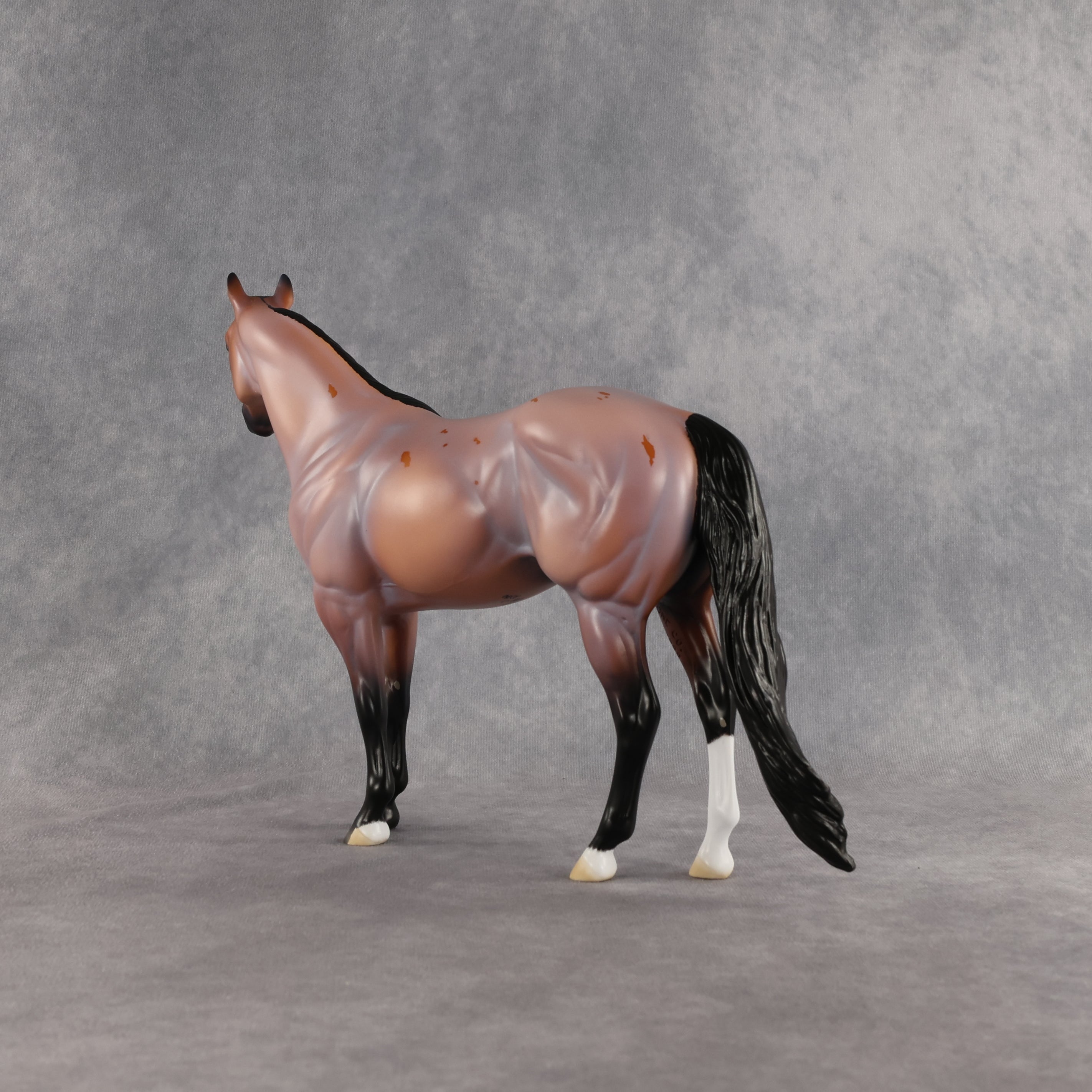 Surfer Dude OOAK Ideal Stock Horse by Madi Wiseman EQ26