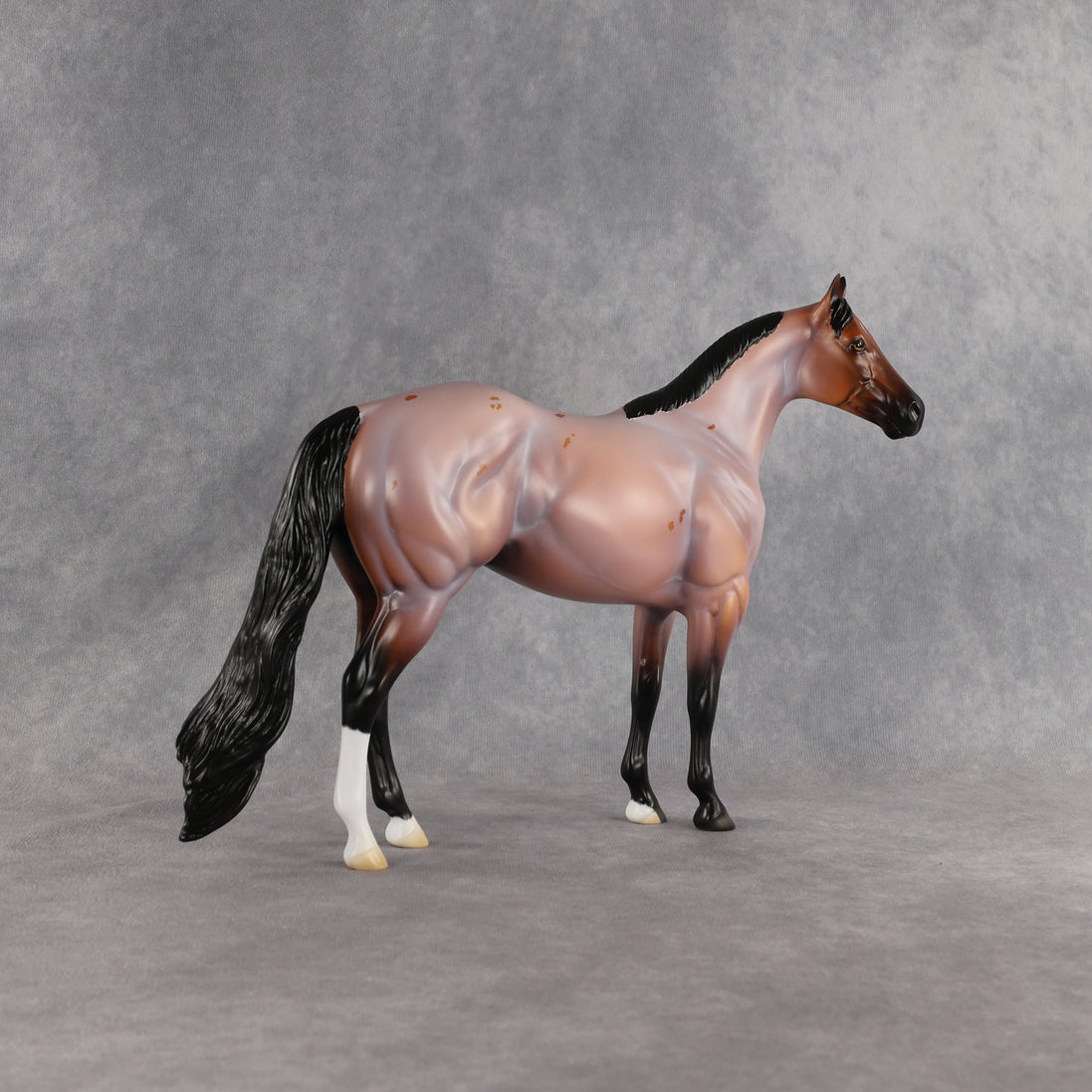 Surfer Dude OOAK Ideal Stock Horse by Madi Wiseman EQ26