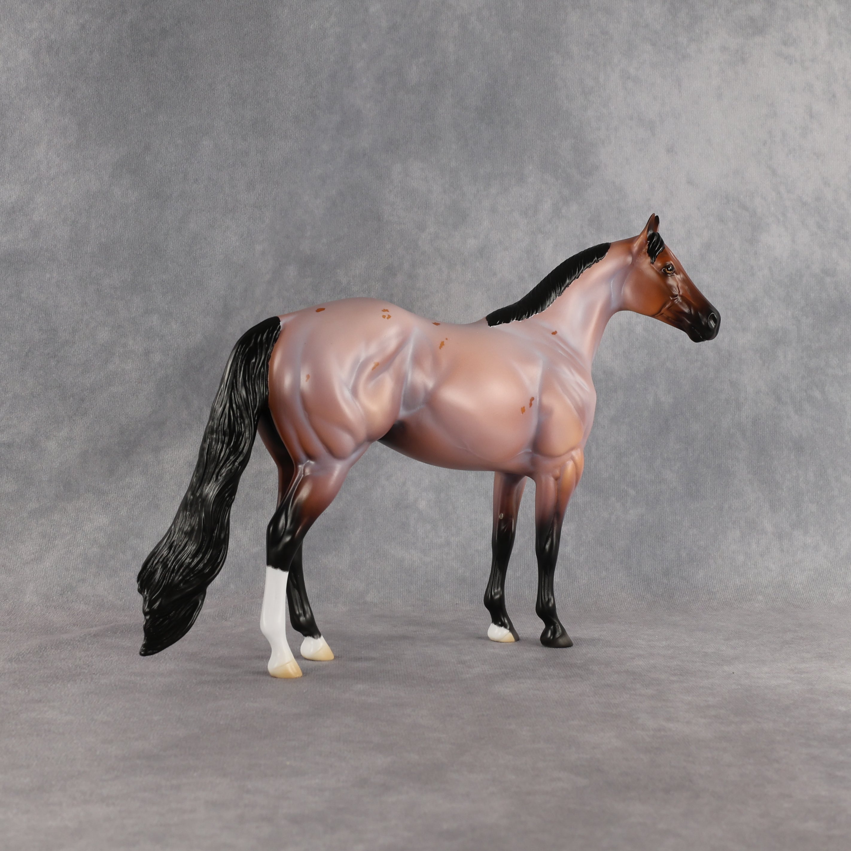 Surfer Dude OOAK Ideal Stock Horse by Madi Wiseman EQ26