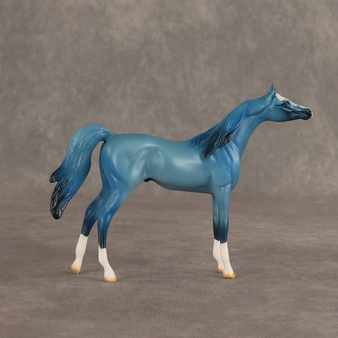 Surprise No Lunch OOAK Chip Arabian by Dawn Quick SHCF26