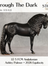 SAMPLE Through The Dark LE-5 Run Dappled Black Factory Custom Andalusian By Ashley Palmer SS0926