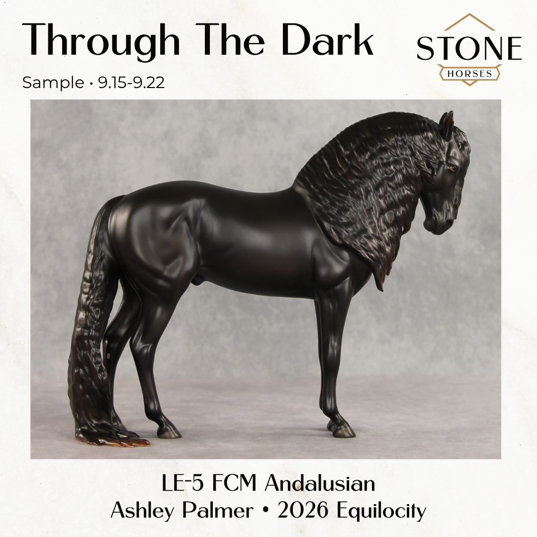 SAMPLE Through The Dark LE-5 Run Dappled Black Factory Custom Andalusian By Ashley Palmer SS0926