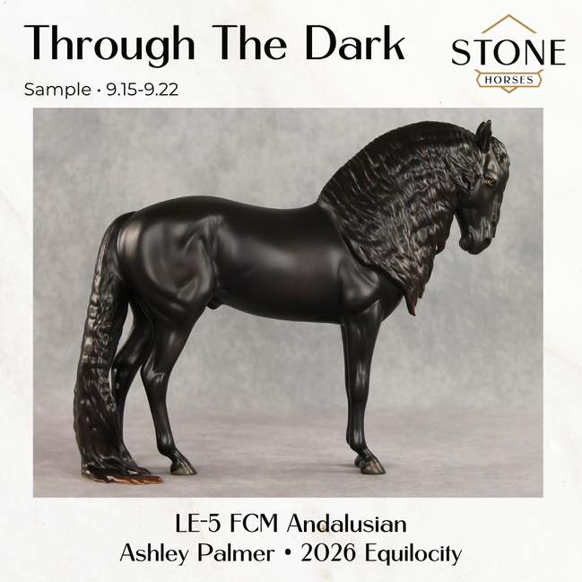 SAMPLE Through The Dark LE-5 Run Dappled Black Factory Custom Andalusian By Ashley Palmer SS0926