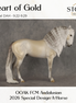 Heart Of Gold FCM Andalusian Special Design-A-Horse SS0926 9.22.2026