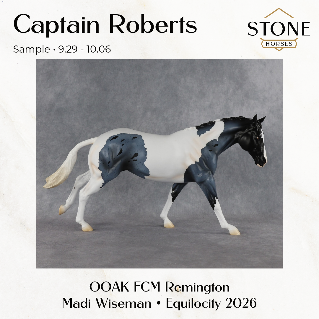 SAMPLE Captain Roberts LE-15 FCM Remington by Madi Wiseman SS0926