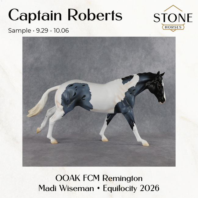 SAMPLE Captain Roberts LE-15 FCM Remington by Madi Wiseman SS0926