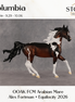 SAMPLE Columbia LE-15 FCM Arabian Mare by Alex Fortman SS0926