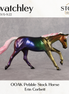 TEST Swatchley Pebble Stock Horse by Erin Corbett SS0926