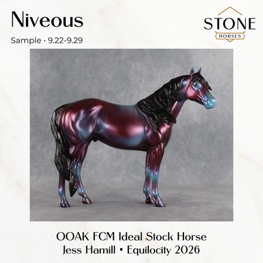 SAMPLE Niveous FCM Ideal Stock Horse by Jess Hamill SS0926 9.22.2026