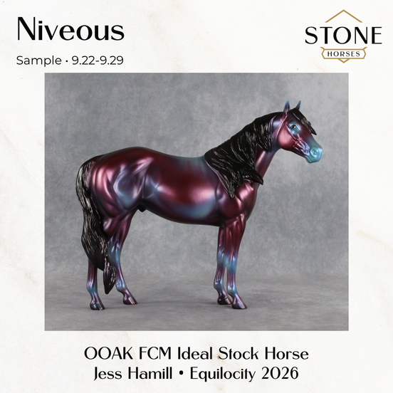 SAMPLE Niveous FCM Ideal Stock Horse by Jess Hamill SS0926 9.22.2026