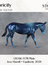 SAMPLE Apricity FCM Large Mule by Jess Hamill SS0926 9.22.2026
