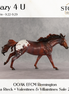 SAMPLE Crazy 4 U LE-15 EFCM Remington by Anna Rieck & Carissa Mathews SS0926 9.22.2026