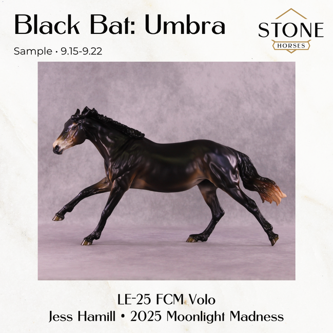 SAMPLE Black Bat: Umbra LE-25 FCM Volo by Jess Hamill SS0926