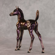 Tabitha OOAK Arabian Foal by Ellen Robbins VV26