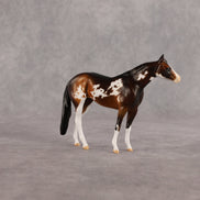 Tableau OOAK Chip Stock Horse by Dawn Quick EQ26