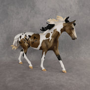 Preview: Taffe LE-15 FCM Pony by Anna Rieck MM26