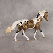 Preview: Taffe LE-15 FCM Pony by Anna Rieck MM26