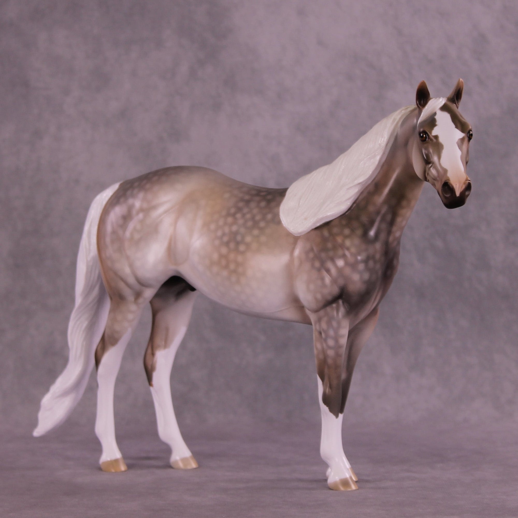 Taffeta OOAK Ideal Stock Horse by Dawn Quick MM25 Group C