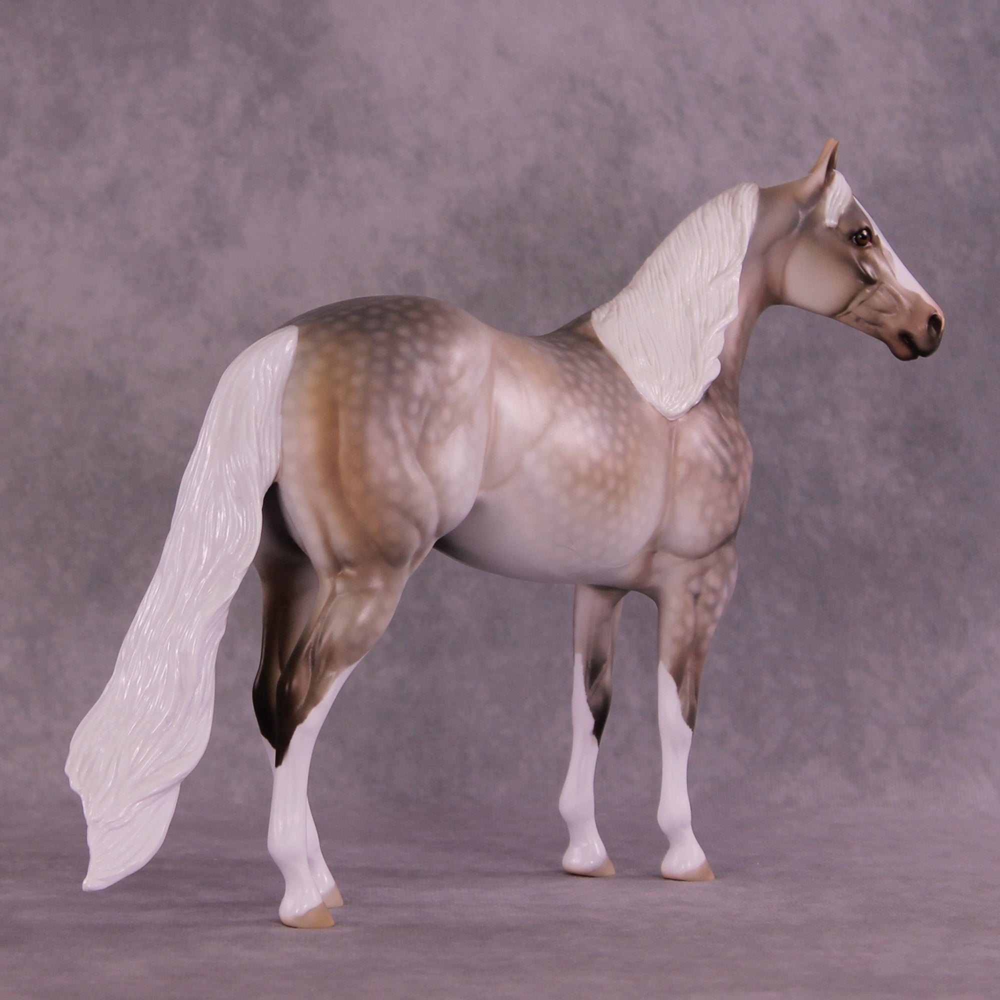 Taffeta OOAK Ideal Stock Horse by Dawn Quick MM25 Group C