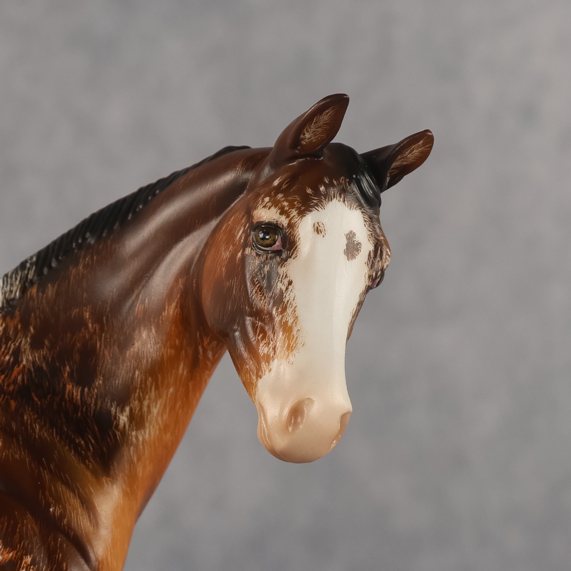 Tamarack OOAK FCM Stock Horse Weanling by Julie Keim Offer 7.21.2026