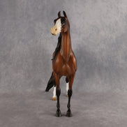 Taskmaster OOAK EFCM Arabian Stallion by Kristen Cermele Best Offer 9.8.2026