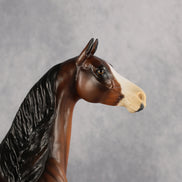 Taskmaster OOAK EFCM Arabian Stallion by Kristen Cermele Best Offer 9.8.2026