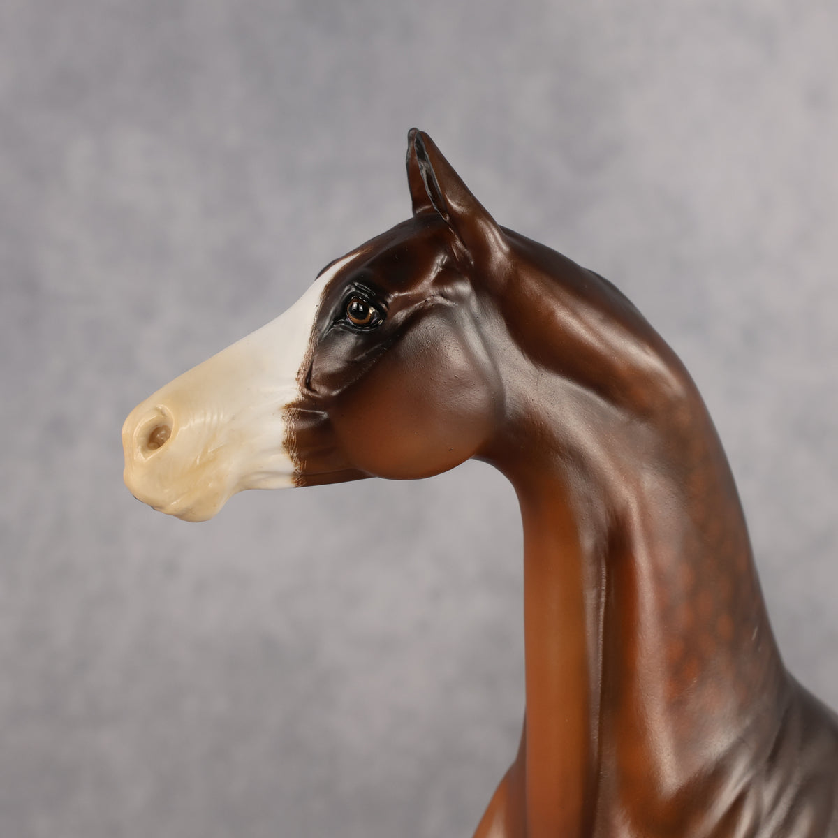 Taskmaster OOAK EFCM Arabian Stallion by Kristen Cermele Best Offer 9.8.2026