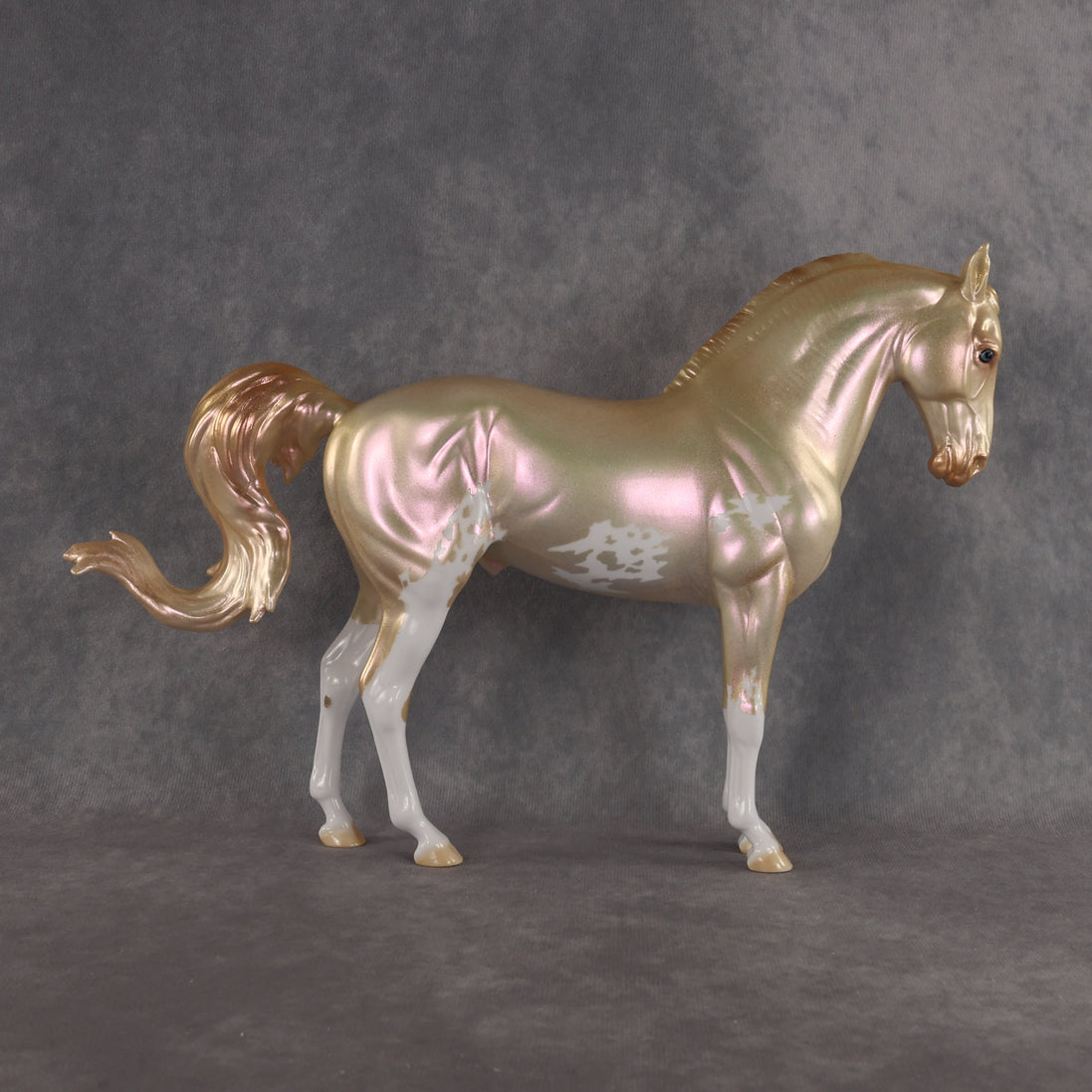 Tell On Me OOAK FCM Andalusian by Erin Corbett EBSD26