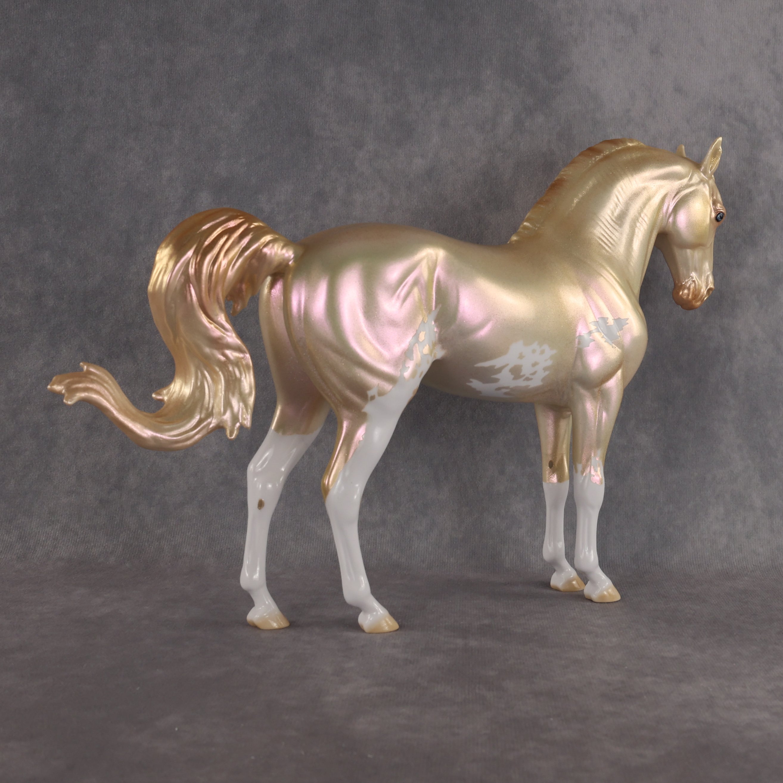 Tell On Me OOAK FCM Andalusian by Erin Corbett EBSD26