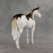 Terran LE-15 FCM Ideal Stock Horse by Ashley Palmer & Matt Samuels EL26
