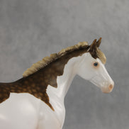 Terran LE-15 FCM Ideal Stock Horse by Ashley Palmer & Matt Samuels EL26