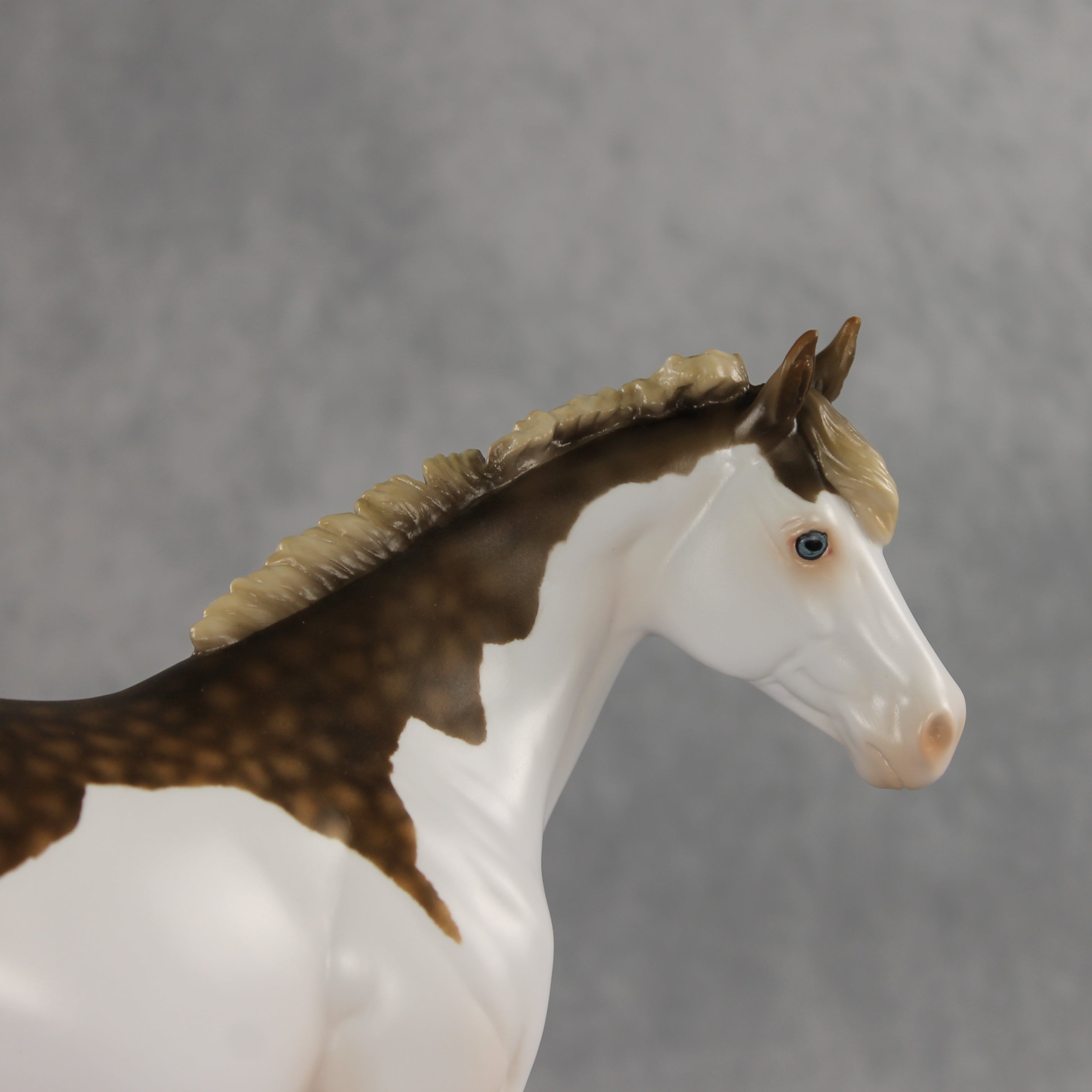 Terran LE-15 FCM Ideal Stock Horse by Ashley Palmer & Matt Samuels EL26