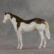 Terran LE-15 FCM Ideal Stock Horse by Ashley Palmer & Matt Samuels EL26
