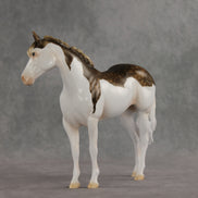 Terran LE-15 FCM Ideal Stock Horse by Ashley Palmer & Matt Samuels EL26
