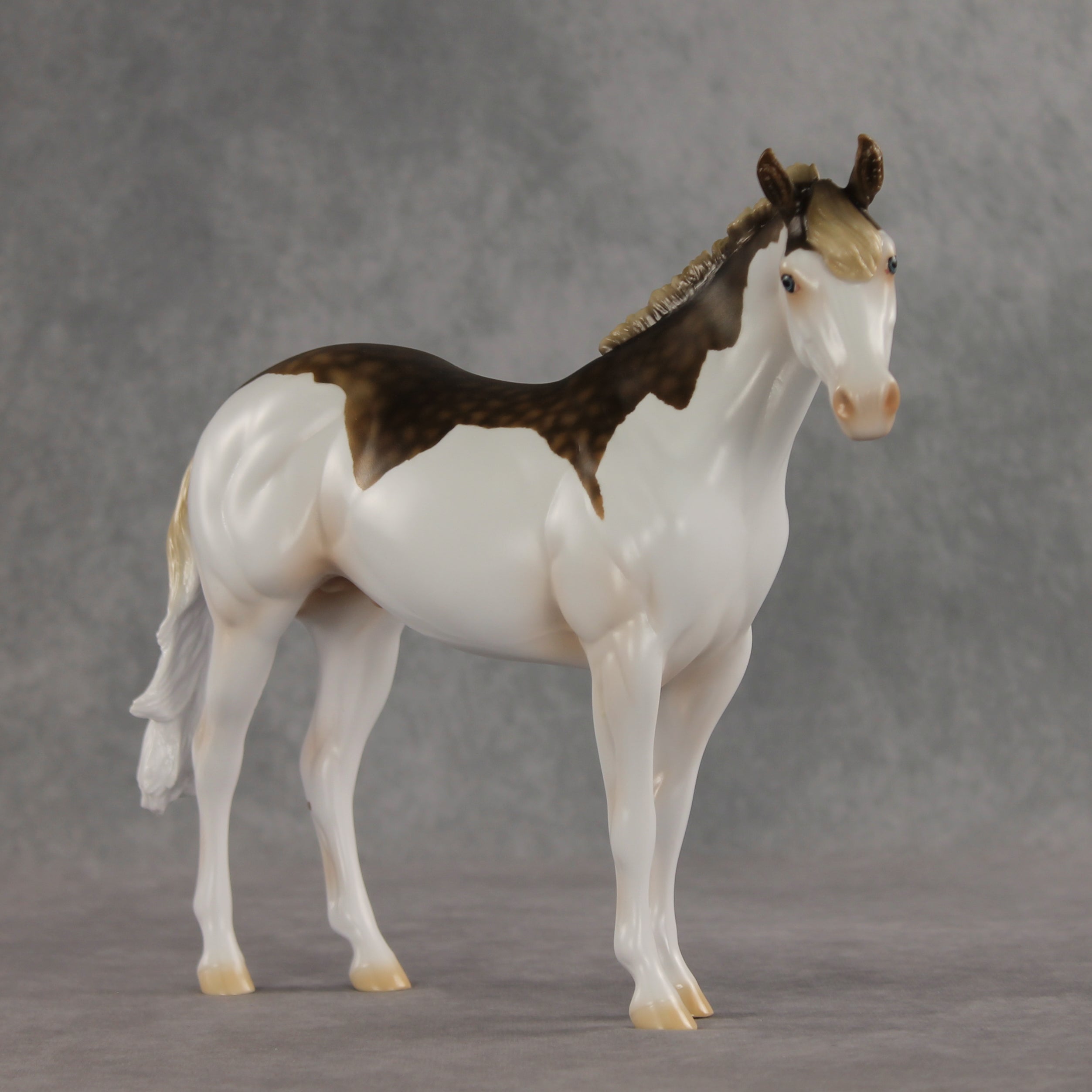 Terran LE-15 FCM Ideal Stock Horse by Ashley Palmer & Matt Samuels EL26