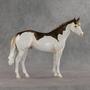 Terran LE-15 FCM Ideal Stock Horse by Ashley Palmer & Matt Samuels EL26