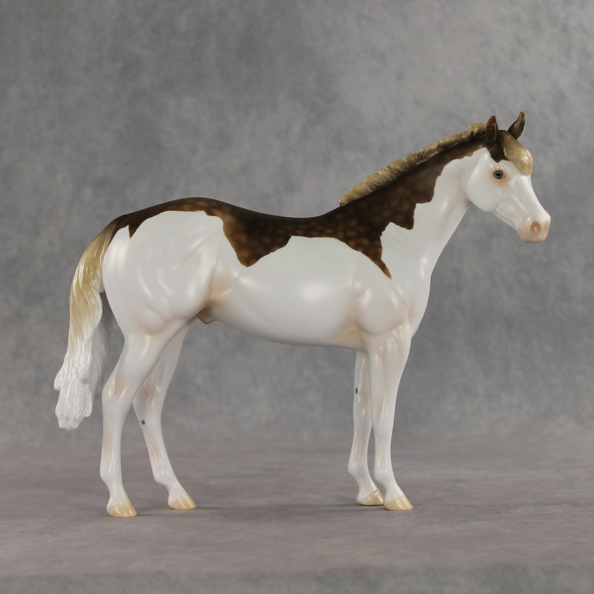 Terran LE-15 FCM Ideal Stock Horse by Ashley Palmer & Matt Samuels EL26