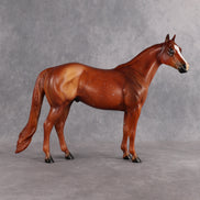 Terry OOAK Ideal Stock Horse by Anna Rieck EQ26