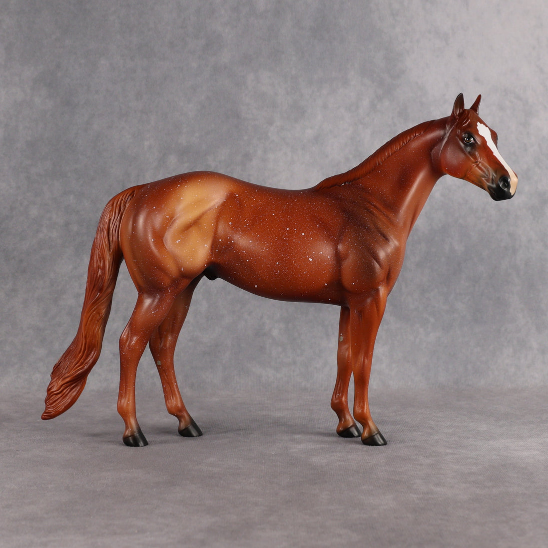 Terry OOAK Ideal Stock Horse by Anna Rieck EQ26