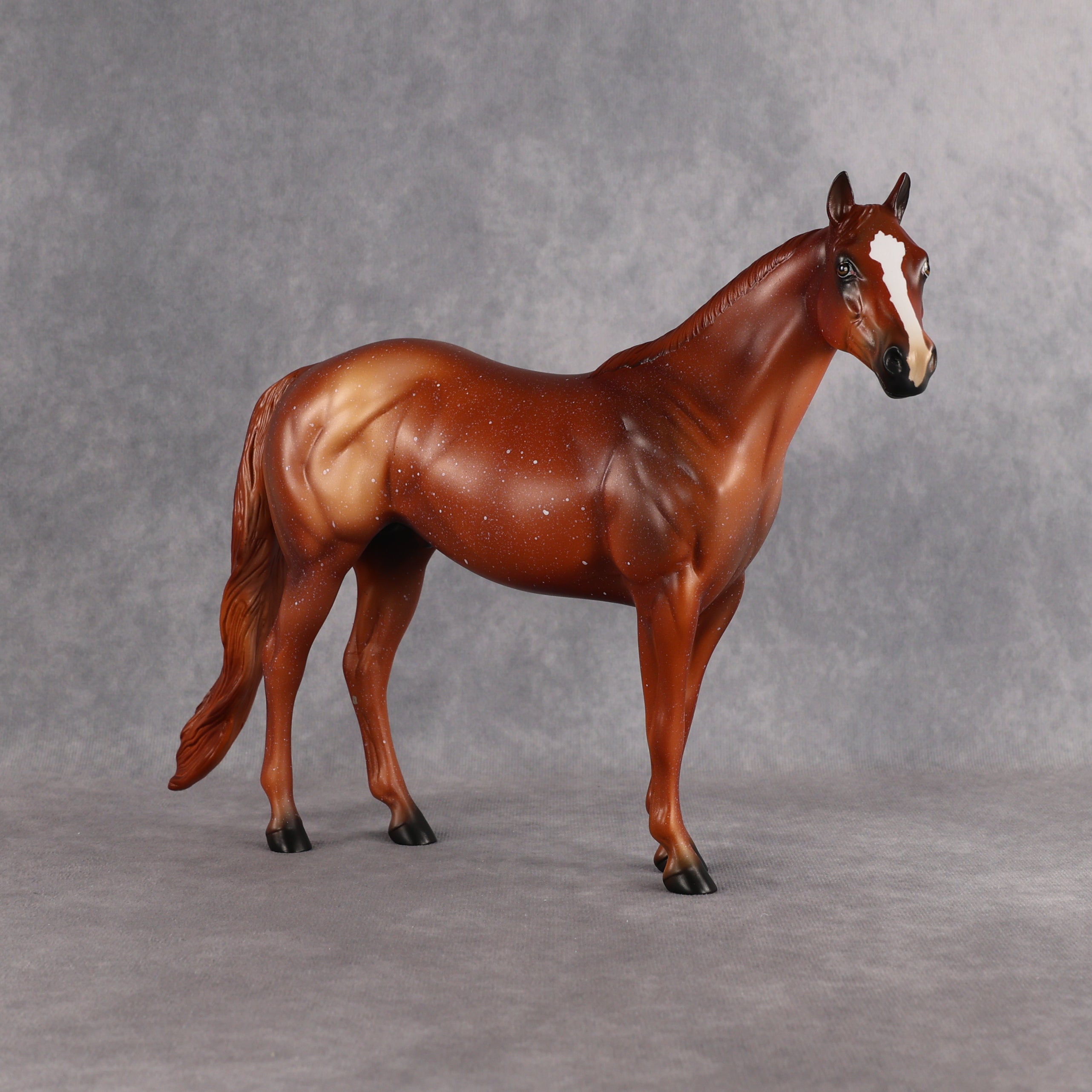 Terry OOAK Ideal Stock Horse by Anna Rieck EQ26