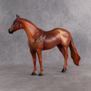 Terry OOAK Ideal Stock Horse by Anna Rieck EQ26