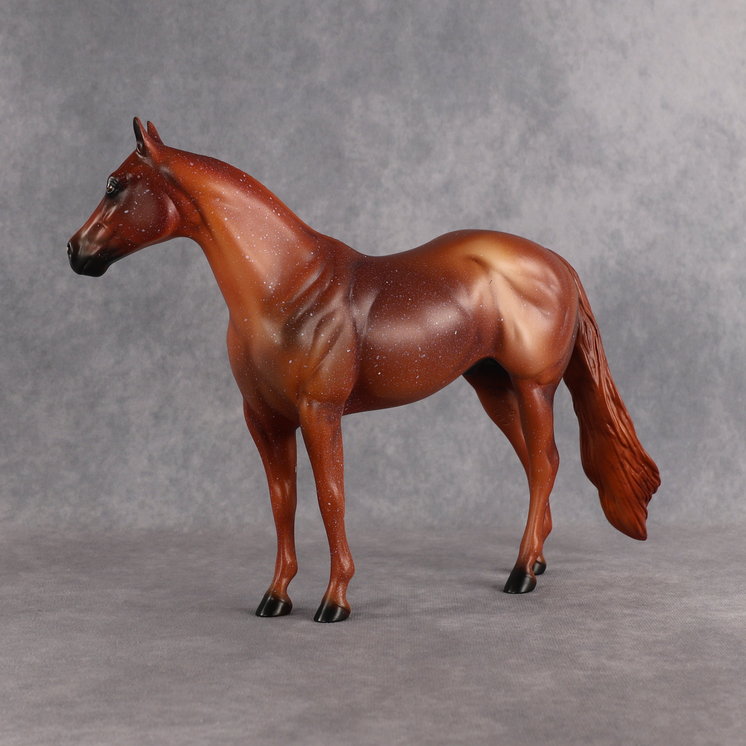 Terry OOAK Ideal Stock Horse by Anna Rieck EQ26