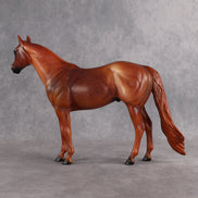 Terry OOAK Ideal Stock Horse by Anna Rieck EQ26