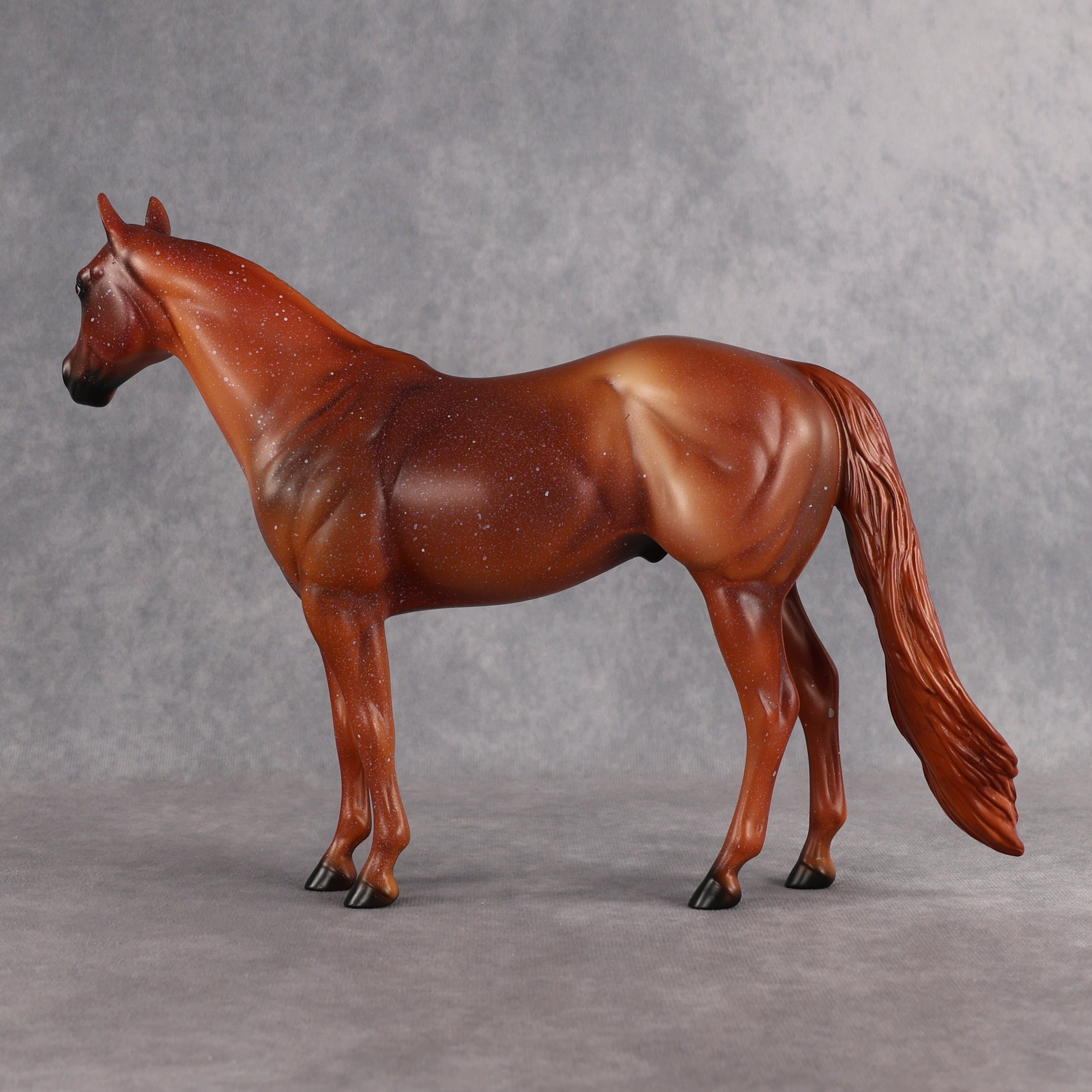 Terry OOAK Ideal Stock Horse by Anna Rieck EQ26