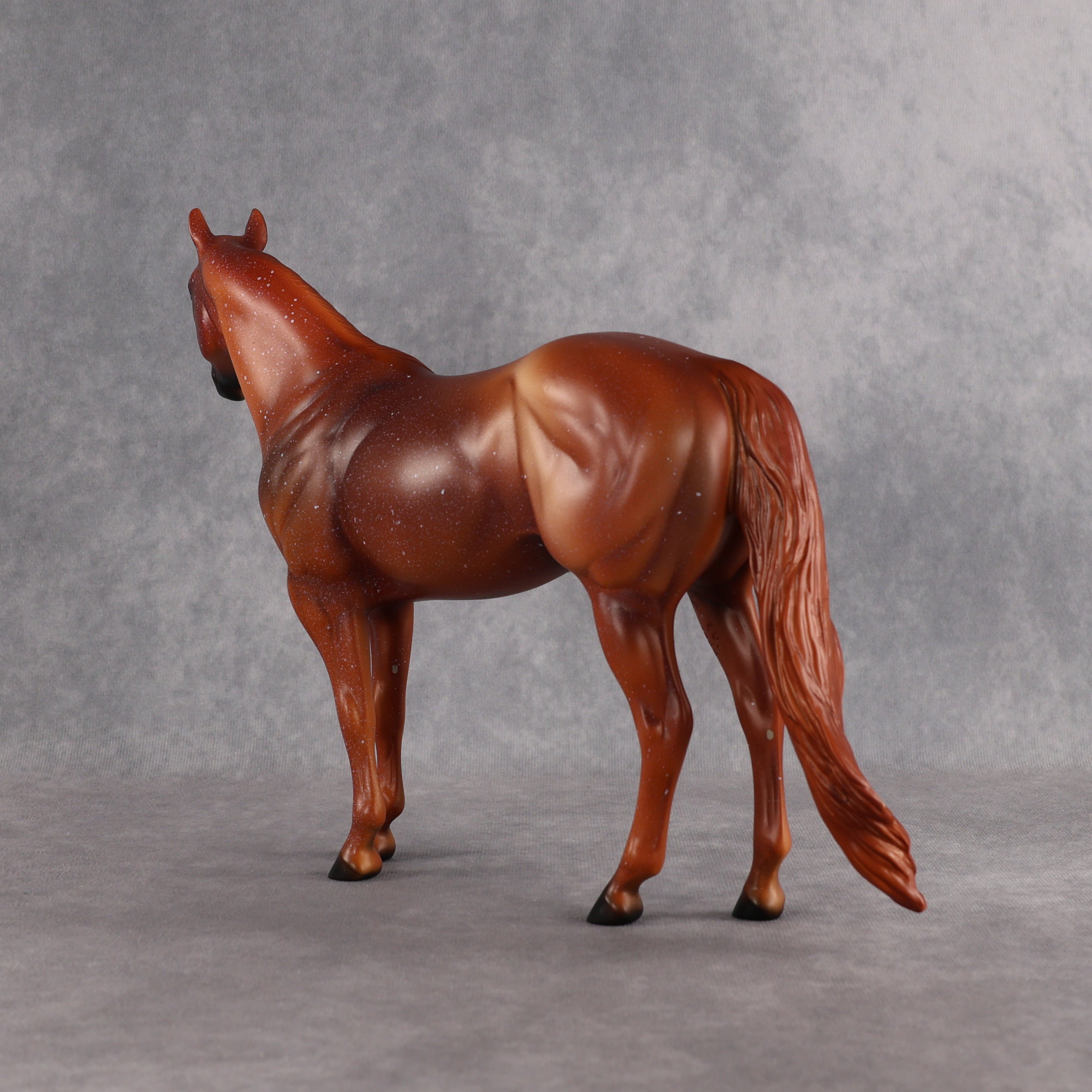 Terry OOAK Ideal Stock Horse by Anna Rieck EQ26