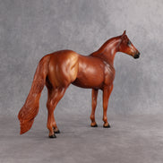 Terry OOAK Ideal Stock Horse by Anna Rieck EQ26