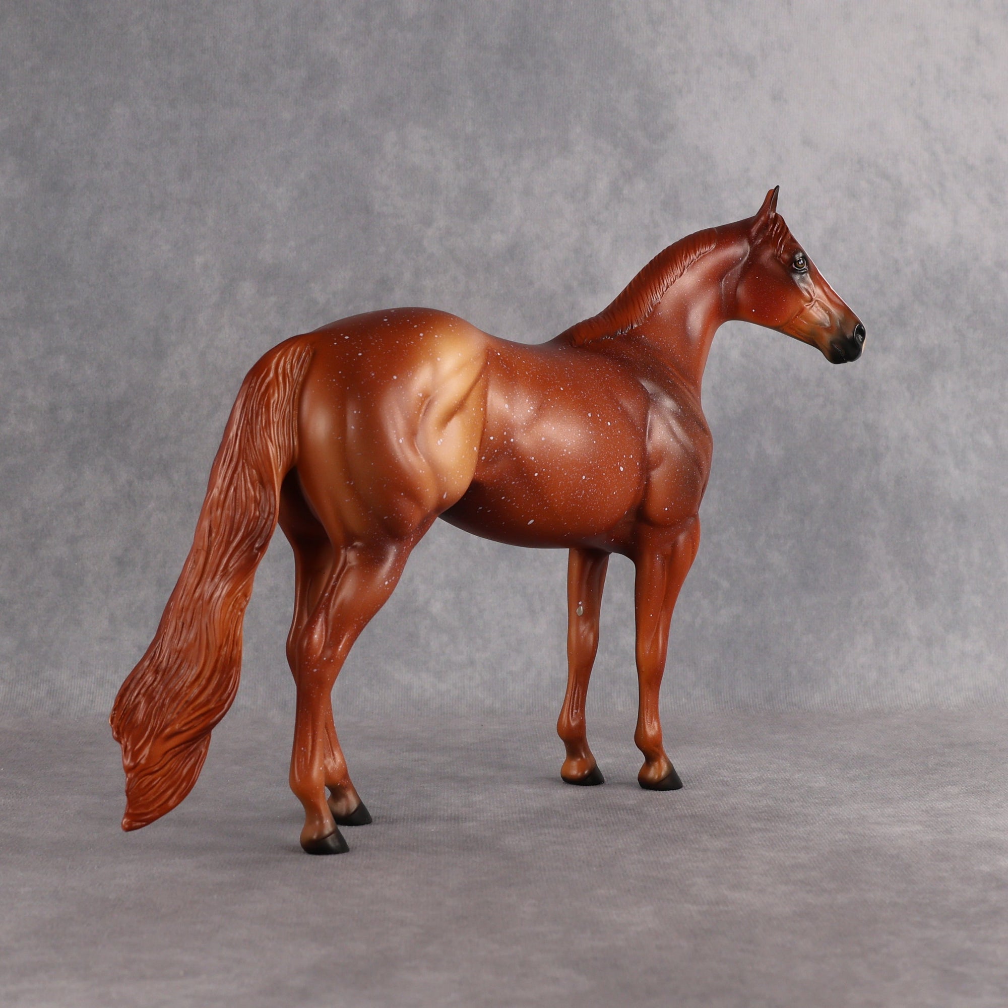 Terry OOAK Ideal Stock Horse by Anna Rieck EQ26
