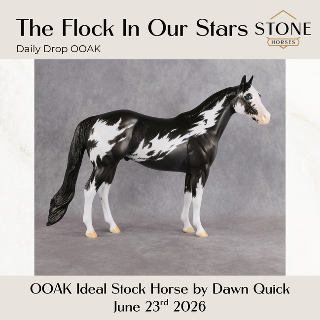 The Flock In Our Stars OOAK Ideal Stock Horse by Dawn Quick DDOOAKs26
