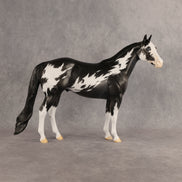 The Flock In Our Stars OOAK Ideal Stock Horse by Dawn Quick DDOOAKs26